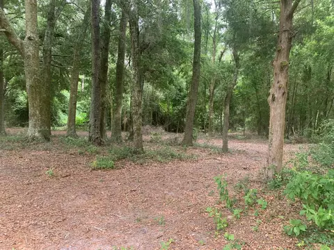 20 SW Sw St, Bell, FL 32619