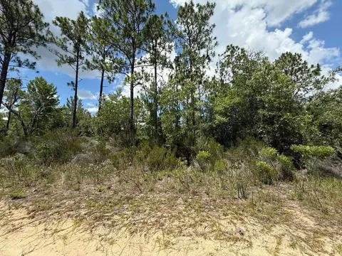 187 Paris St, Interlachen, FL 32148