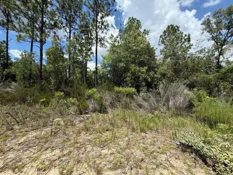 187 Paris St, Interlachen, FL 32148 photo 6