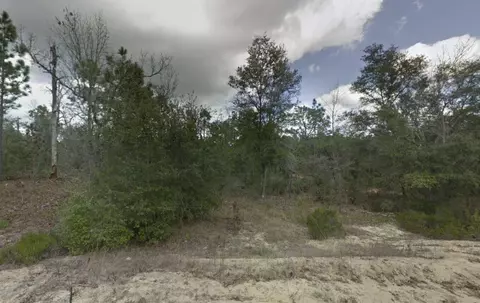187 Paris St, Interlachen, FL 32148 photo 2