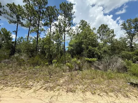 187 Paris St, Interlachen, FL 32148 photo 5