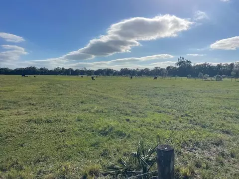 7305 41st St, Vero Beach, FL 32967