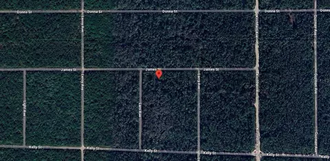 0 James St, Hastings, FL 32145