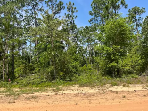 tbd Holly Spgs, Alford, FL 32420