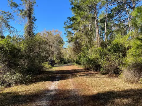 208 SE 3rd St, Georgetown, FL 32139 photo 4