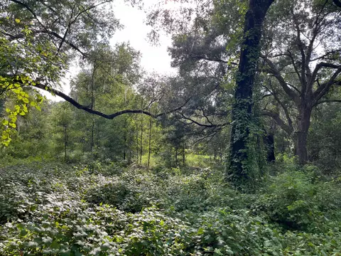 305 Milton Ave, Interlachen, FL 32148 photo 8