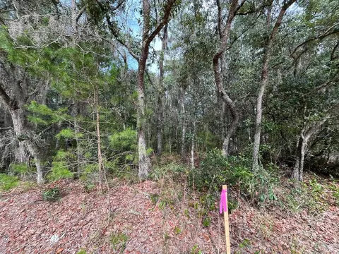 304 Gloria, Interlachen, FL 32148