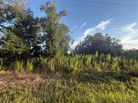 19426 NW 270th St, Okeechobee, FL 34972