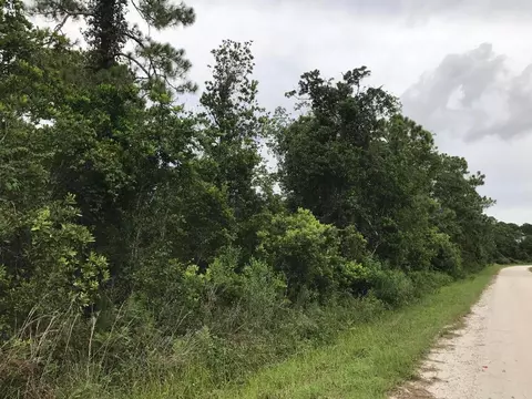1126 Greenfield St, Lake Placid, FL 33852