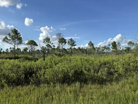 15827 NW 272nd, Okeechobee, FL 34972