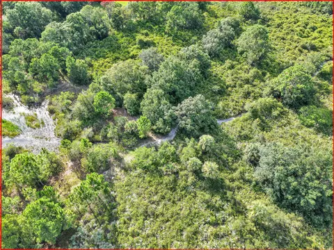 100 NW 38th Ave, Okeechobee, FL 34972 photo 14