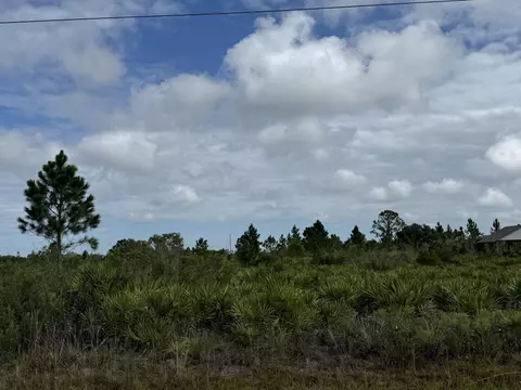 18619 NW 248th St, Okeechobee, FL 34972