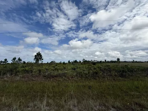 18619 NW 248th St, Okeechobee, FL 34972 photo 5