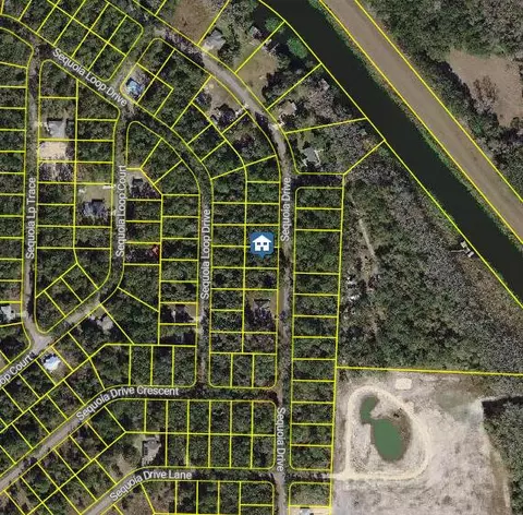 Und Undetermined, Ocklawaha, FL 32179