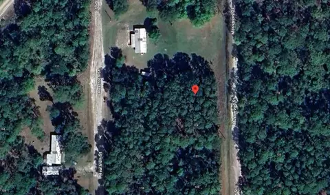 117 Mosswood St, Georgetown, FL 32139 photo 7