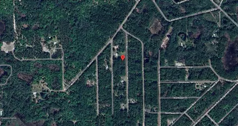 117 Mosswood St, Georgetown, FL 32139 photo 6