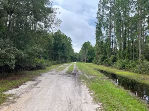 117 Mosswood St, Georgetown, FL 32139 photo 2