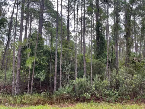 117 Mosswood St, Georgetown, FL 32139