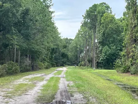 117 Mosswood St, Georgetown, FL 32139 photo 3