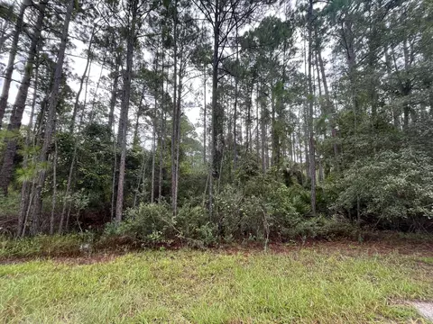 117 Mosswood St, Georgetown, FL 32139 photo 4