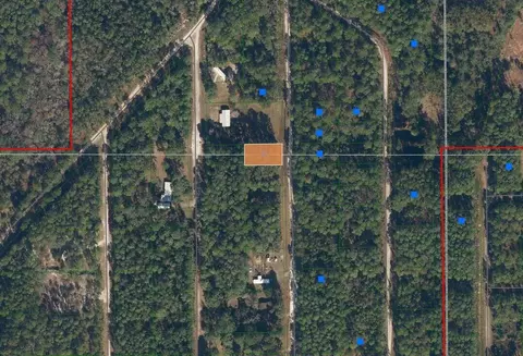 117 Mosswood St, Georgetown, FL 32139 photo 8