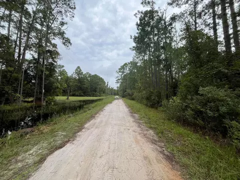 117 Mosswood St, Georgetown, FL 32139 photo 5