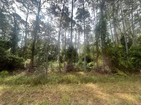 107 Pine Ave, Georgetown, FL 32139