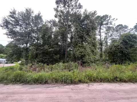0 Hickory Nut Trail Trl, Satsuma, FL 32189