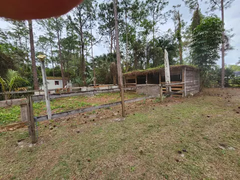 16784 84th Ct N, The Acreage, FL 33470