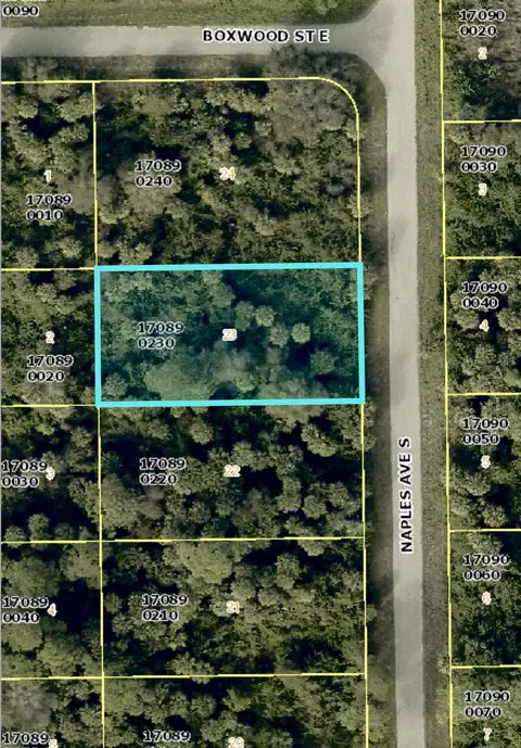 636 Naples Ave S, Lehigh Acres, FL 33974