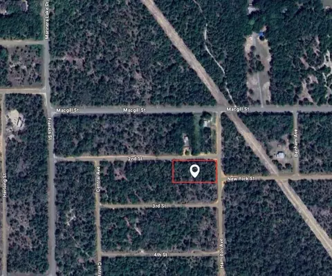 00 2nd St, Interlachen, FL 32148 photo 2