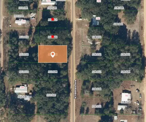 0 N Helmers Ave, Interlachen, FL 32148 photo 3