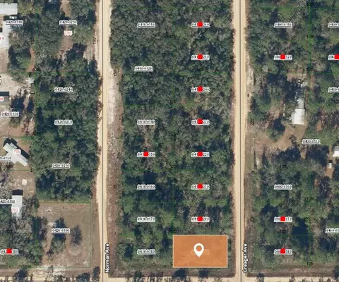 000 Creager Ave, Interlachen, FL 32148 photo 2