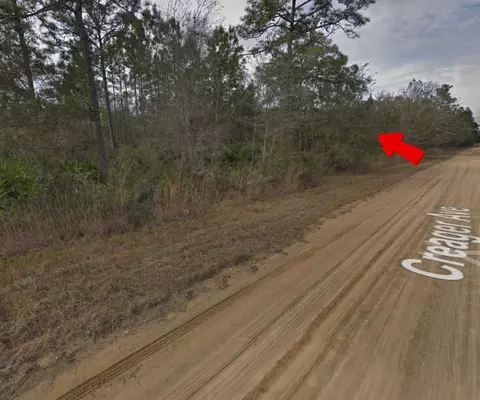 004 Creager Ave, Interlachen, FL 32148