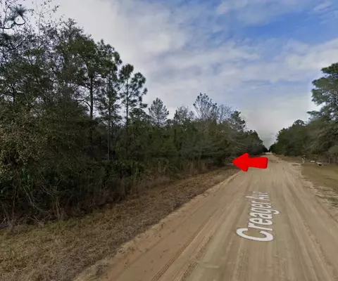 005 Creager Ave, Interlachen, FL 32148