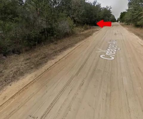 009 Creager Ave, Interlachen, FL 32148