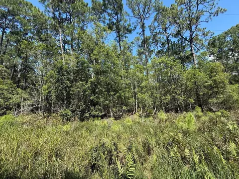 210 SE 2nd St, Georgetown, FL 32139 photo 2