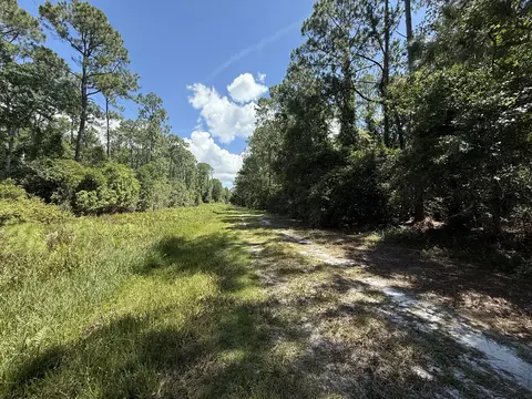 210 SE 2nd St, Georgetown, FL 32139 photo 4