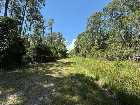 210 SE 2nd St, Georgetown, FL 32139 photo 3