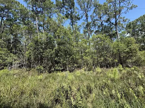 210 SE 2nd St, Georgetown, FL 32139 photo 2