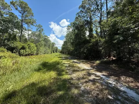 210 SE 2nd St, Georgetown, FL 32139 photo 4