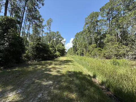 210 SE 2nd St, Georgetown, FL 32139 photo 3