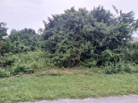 4437 SW Cacao St, Port St Lucie, FL 34953