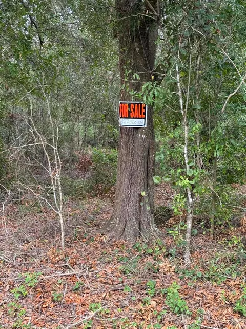 120 S Graham Rd, Avon Park, FL 33825
