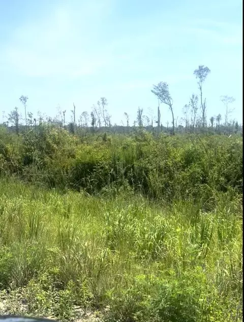 00 NW Co Rd 143, Jennings, FL 32053