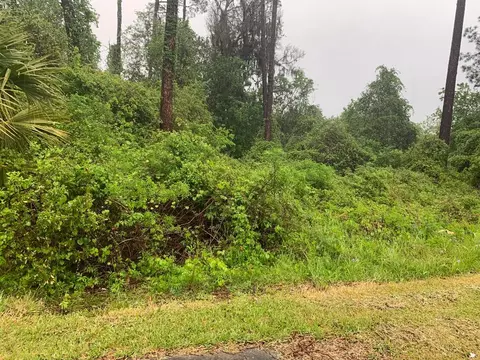 0 SE Unassigned Location Re Ave, Gainesville, FL 32641