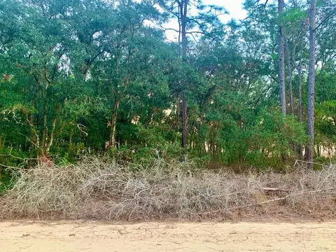 301 S Crestview Ave, Inverness, FL 34452