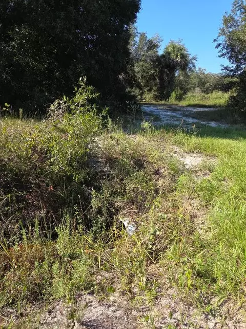 18336 NW 308th, Okeechobee, FL 34972