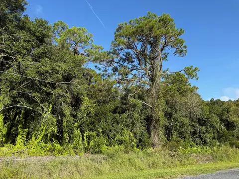 0 Magnolia Dr, Okeechobee, FL 34972