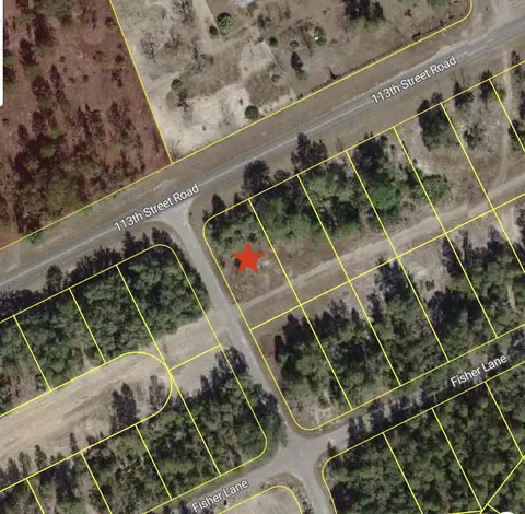 0 Tbd 113th Street Lot 1 Rd, Ocklawaha, FL 32179